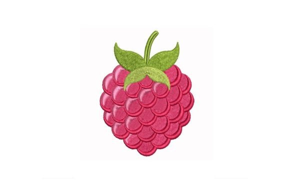 Raspberry Embroidery Design Review